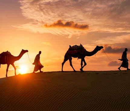 dubai camel ride image