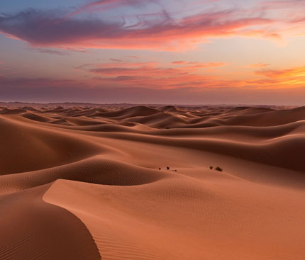 liwa desert image
