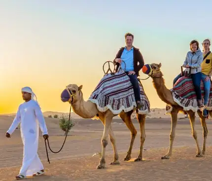 Is Camel Trekking Safe? What You Need to Know
