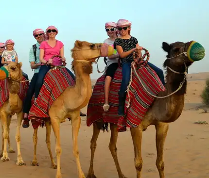 Is Camel Trekking Safe? What You Need to Know