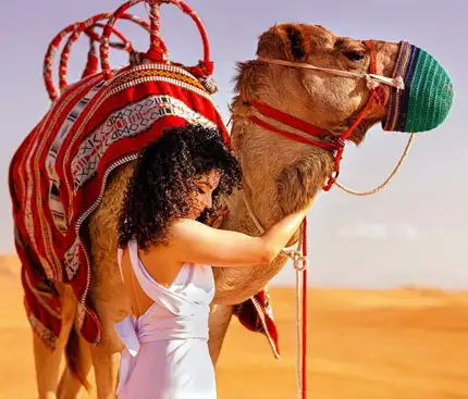 Is Camel Trekking Safe? What You Need to Know