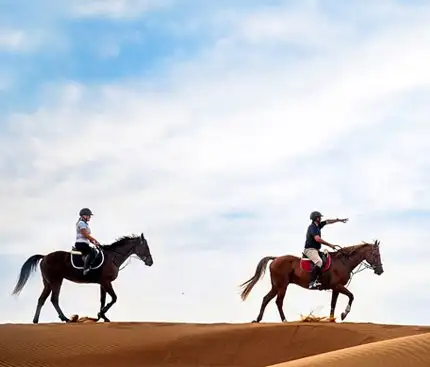 Top Places for Desert Horse Riding in Dubai