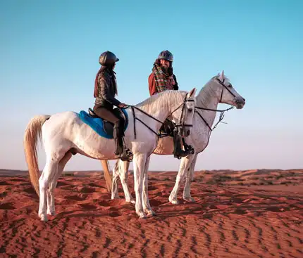Top Places for Desert Horse Riding in Dubai