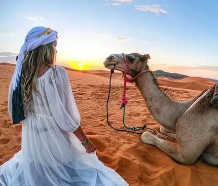 Eco-Friendly Morning Desert Safaris