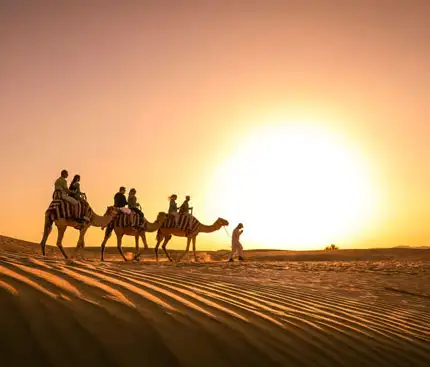 Sunset Camel Trekking in Dubai