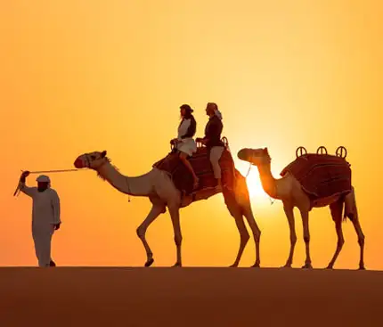 Sunset Camel Trekking in Dubai