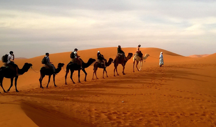 Camel Trekking Dubai