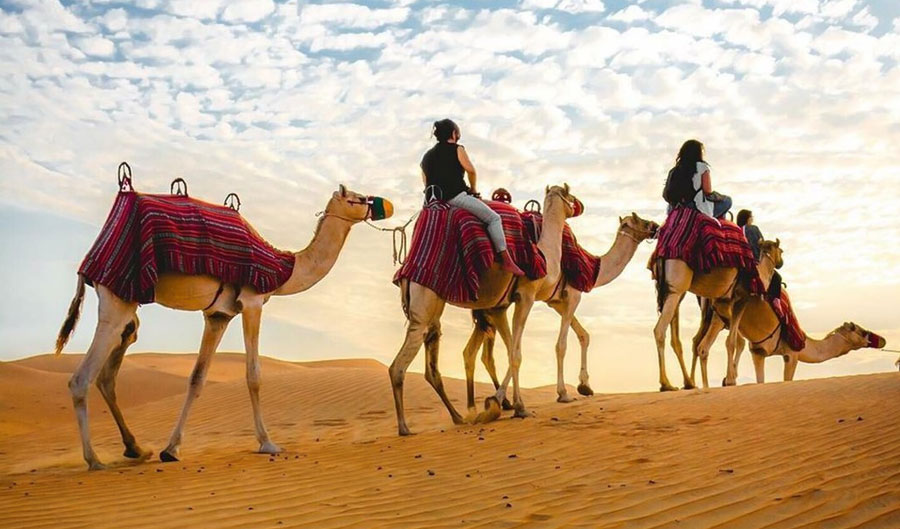 Camel Trekking Dubai