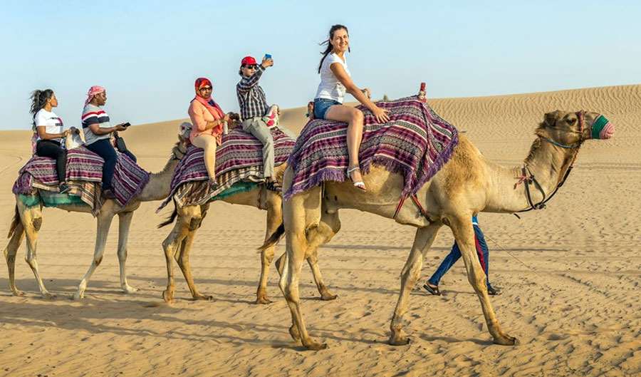 Camel Trekking Dubai