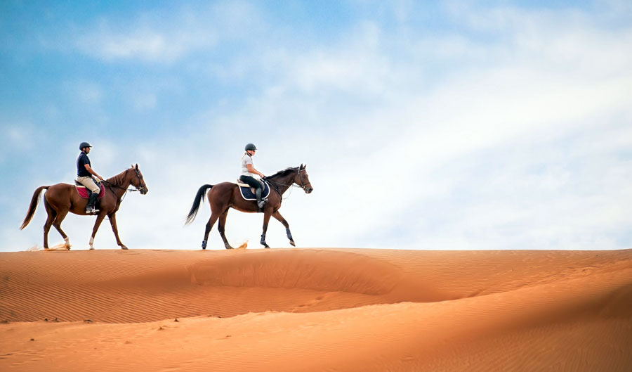Horse Rides in Dubai
