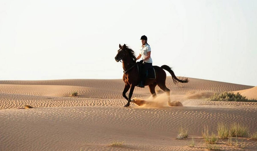 Horse Rides in Dubai