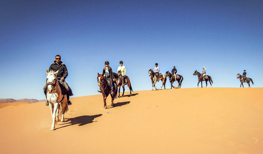 Horse Rides in Dubai