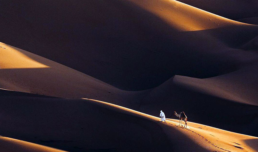 Liwa Full Day Desert Safari from Dubai
