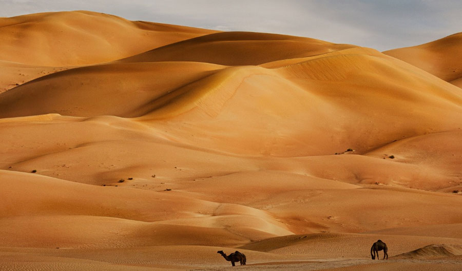 Liwa Overnight Desert Safari from Dubai