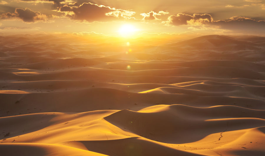 Morning Desert Safari Dubai